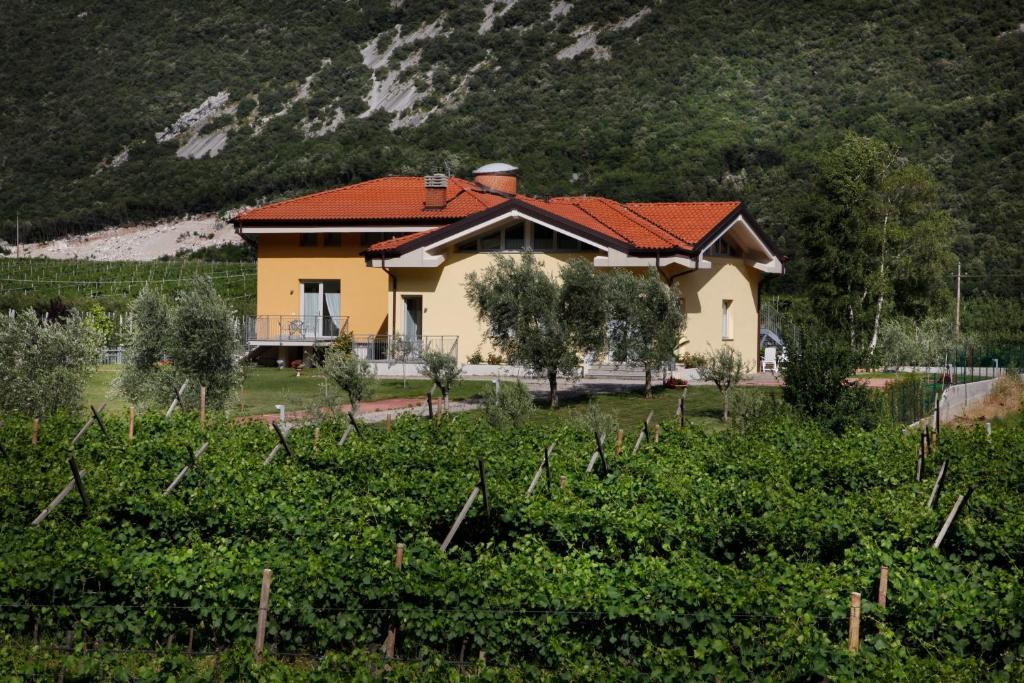 Appartamenti Al Vigneto Dro Buitenkant foto